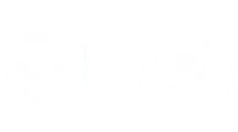 Flush logo