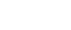 Blockspins Logo